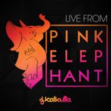 Live From Pink Elephant (6/17/2013)