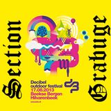 SECTION GRABUGE liveset @ DECIBEL (NL) I7.8.2oI3