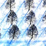 Endless Winter 2012