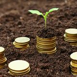 Histoire de Savoir : La microfinance