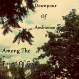 E.T.C.H. - Downpour Of Ambience 10: Among The Forest Of Gold - Ambient Podcast 010
