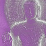 PURPLE BUDDHA 2015