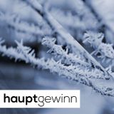 hauptgewinn by Tim Alexander