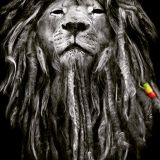 SELECT SHELLZ LION'S DEN MAY 14