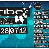 7.2012 pierre recorded @ electribe, kassel germany