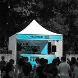 Electronik Piknic
