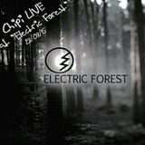Chipi LIVE at Electric Forest 28 aug.15