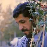 Nema-ye Nazdik