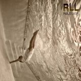 RLL - Marzo 2013