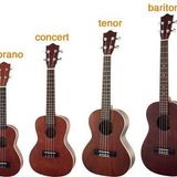 le plan uke n°9