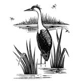 The River Coquet, written and read by Chris Watson
