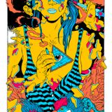 Tropicalisation #12