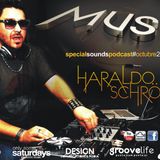 28 - Haraldo Schroder @ Special sounds Podcast - Octubre 2012