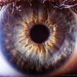 Dedalus Damian APRIL 2014 MIX