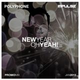 POLYPHONE - New Year, Oh Yeah ! (Promo-Mix Jan. 2015)