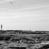 Retour sur la résidence de l''île de Sein sur Canal B