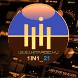 1IN1_21