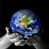 Moas World