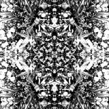 Cameron Thias - Voll Mein Ding