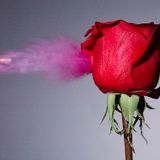 Kaspa - Love In Slow Motion 02