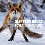 2016-03-11 ::: Mouvement Libre - Slippery on Ice