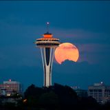 Big Moon Ambience