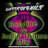 Bassline & Jackin' House Mix 2013