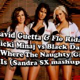 David Guetta & Flo Rida & Nicki Minaj vs Black DaDa - Where The Naughty Girl Is (Sandra SX mashup)