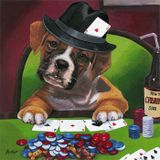 BokStep - Break 27K Gtd
