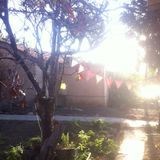 Beats #57 aka The TU-BISHVAT Show