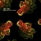 DJ Rio Flying High Radio Sessions Mix #527
