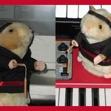 Songs That Get My Hamster Wheel Spinning - Vol.1