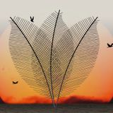 Nu Selection Feb 2016 by Dj Abhyjeet