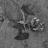 Ryo Hasegawa _ Mind Therapy Vo.04
