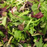 2014 SPRING MIX