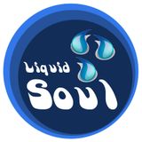 Liquid Soul Vol.12 (10.10.2013)