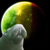 Journey to the Junglist Planetoid