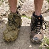 AL57 - Keeping Step