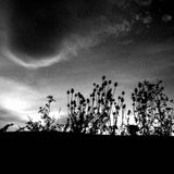 ...relax tunes mix #1...