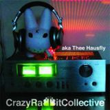 aka thee hausfly - live at CrazyRabbitCollective 2010