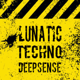 Lunatic Techno 20150123 At Mixlr