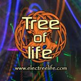 .:: Special 5h "Singularity" set ::. .::Tree of Life Festival 28.6.-03.7. 2012 Turkey::. (Part 5)