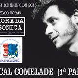 PODCAST PROGRAMA MORADA SÓNICA 31 DE ENERO DE 2015: MONOGRÁFICO PASCAL COMELADE (PARTE 1)