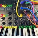 *Stepper**Dub**Special**