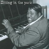 Sitting in the park (2011)