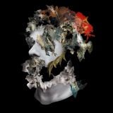 PANGEA 037