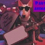 Party Animal
