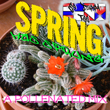 Spring Has Sprung - A Pollinated Mix