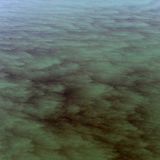 The Tides of Sewageworld