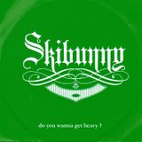 Skibunny DJs - Do You Wanna Get Heavy?